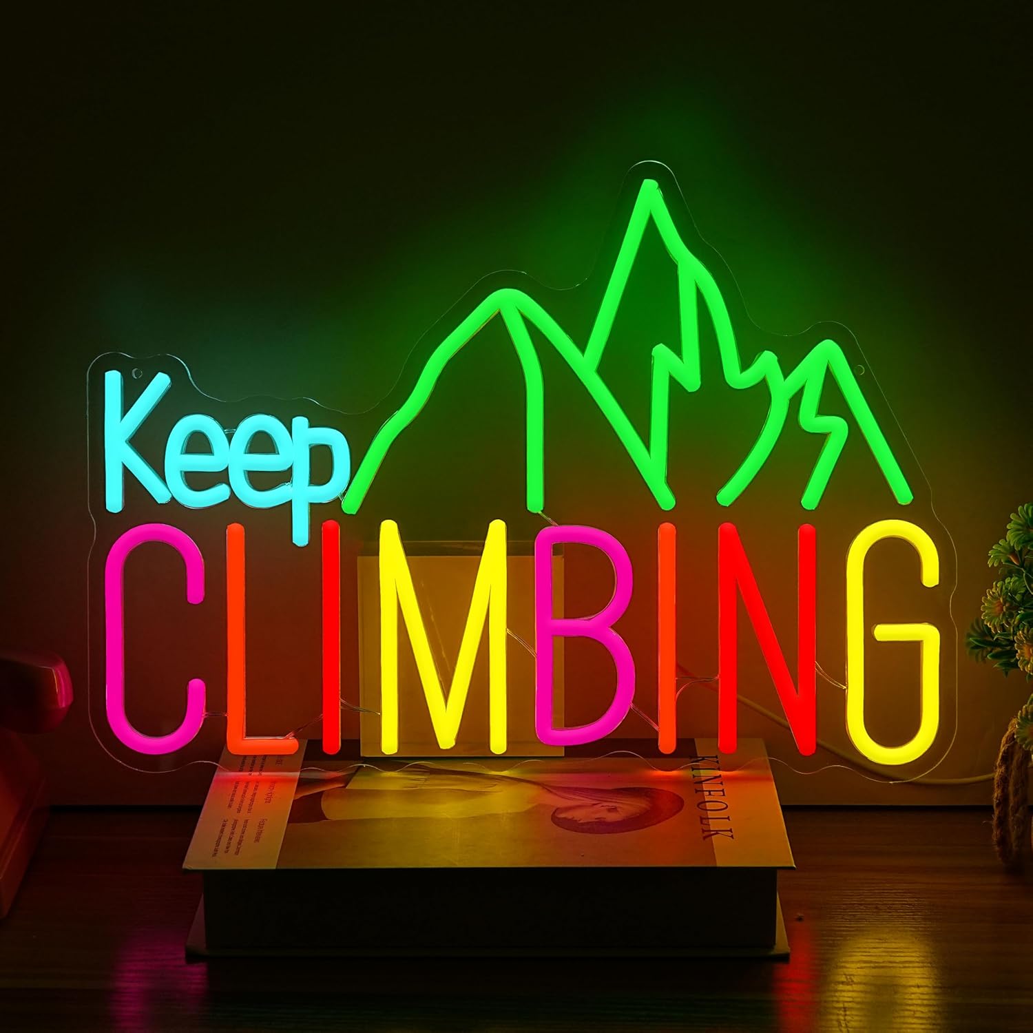 Garden Lighting Decor - Keep Climbing Neon Sign USB Led