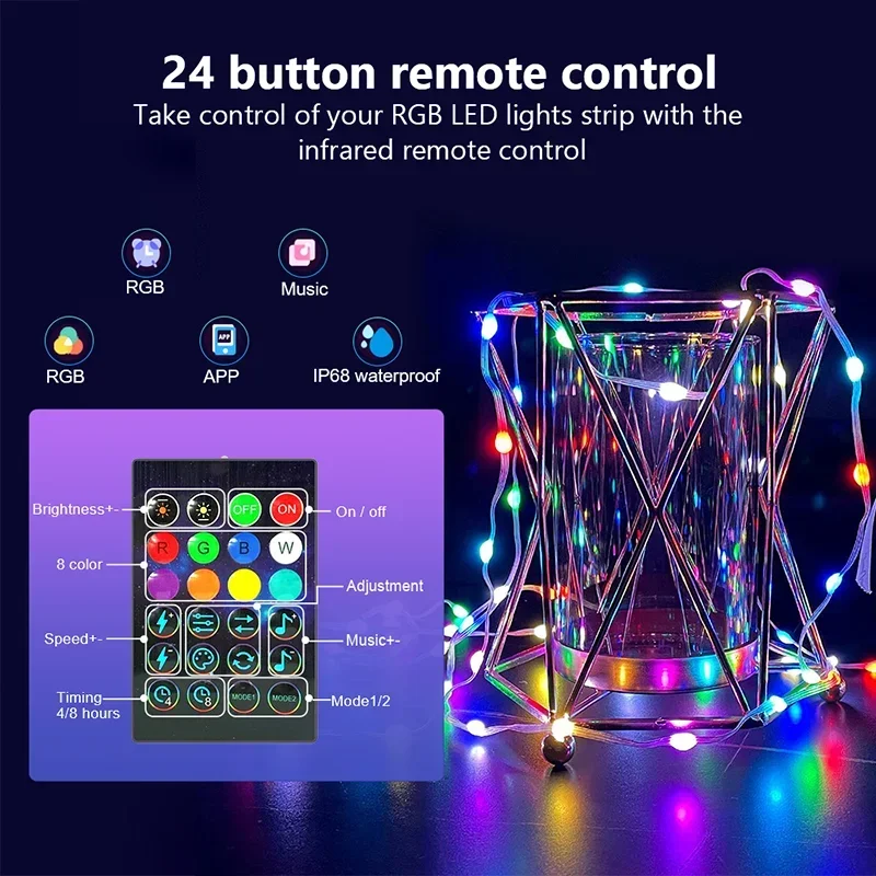 2-30m Smart Light String RGB L - Lighting Decor For Diwali 评论和价格