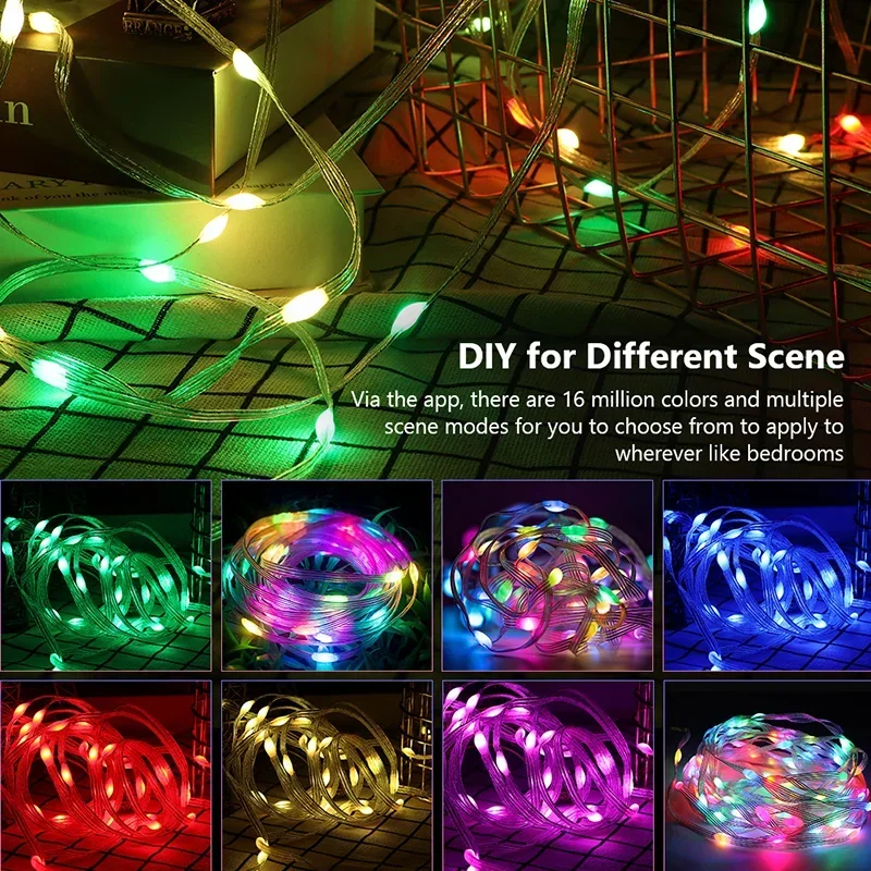 2-30m Smart Light String RGB L - Lighting Decor For Diwali 评论和价格